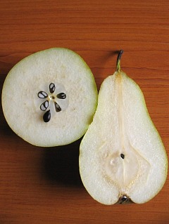 Grusza pospolita - owoc w przekroju i nasiona